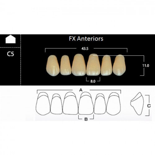 картинка FX Anteriors - Зубы акриловые двухслойные, фронтальные верхние, цвет D2, фасон C5, 6 шт от магазина Stom-Prof