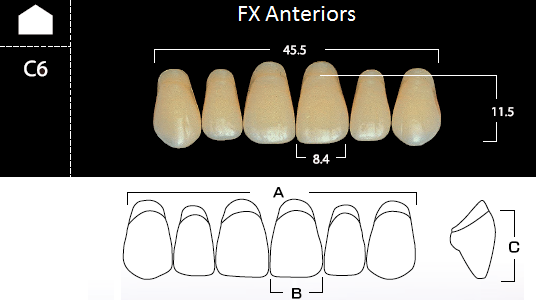 FX Anteriors - Зубы акриловые двухслойные, фронтальные верхние, цвет C3, фасон C6, 6 шт от магазина Stom-Prof