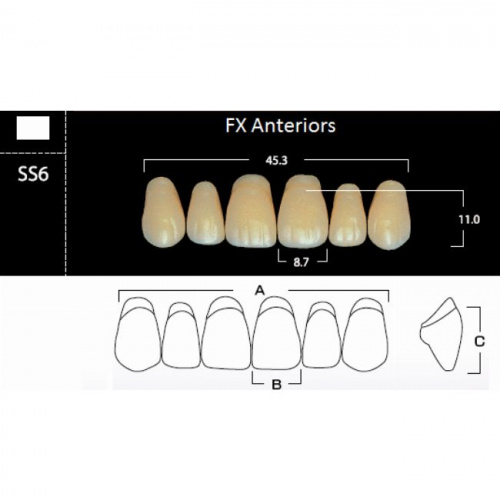 картинка FX Anteriors - Зубы акриловые двухслойные, фронтальные верхние, цвет D2, фасон SS6, 6 шт от магазина Stom-Prof