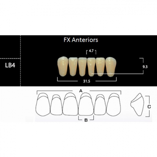 FX Anteriors - Зубы акриловые двухслойные, фронтальные нижние, цвет D2, фасон LB4 6 шт от магазина Stom-Prof