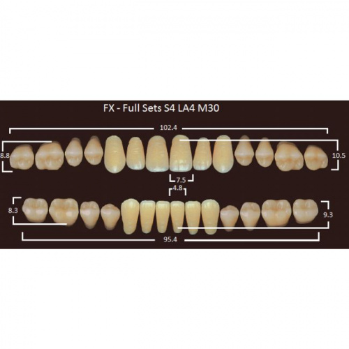 FX зубы акриловые двухслойные, полный гарнитур (28 шт.) на планке, B3, S4/LA4/M30 от магазина Stom-Prof