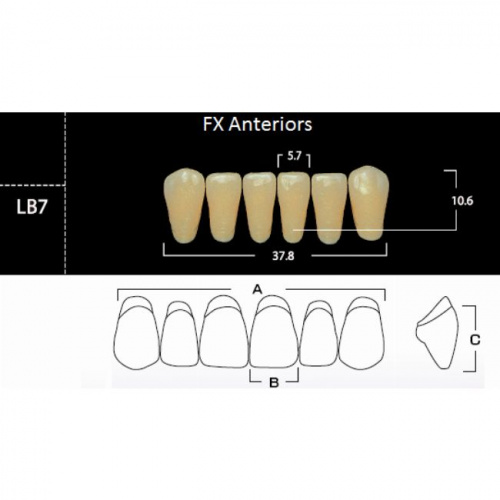 FX Anteriors - Зубы акриловые двухслойные, фронтальные нижние, цвет B1, фасон LB7, 6 шт от магазина Stom-Prof