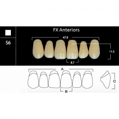 картинка FX Anteriors - Зубы акриловые двухслойные, фронтальные верхние, цвет D3, фасон S6, 6 шт от магазина Stom-Prof